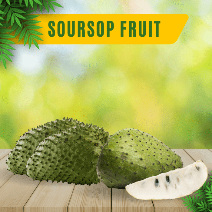 Soursop Fruit (Laxman Phal / Hanuman Phal – 1kg)